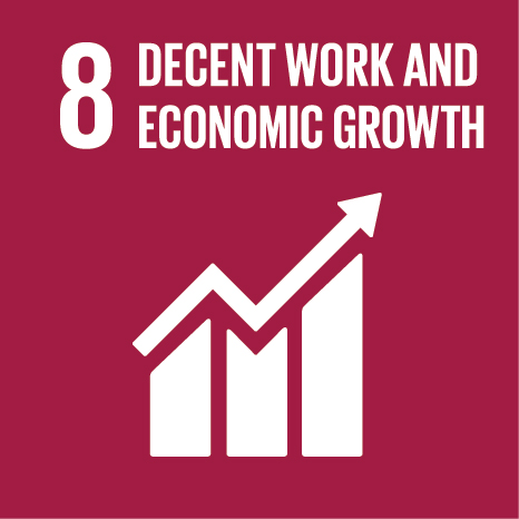 Sustainable Development Goal 08