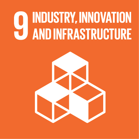 Sustainable Development Goal 09