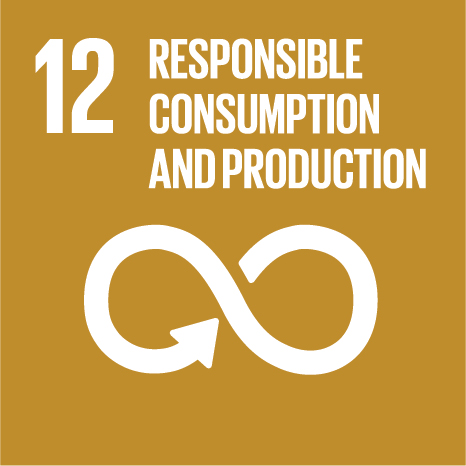 Sustainable Development Goal 12