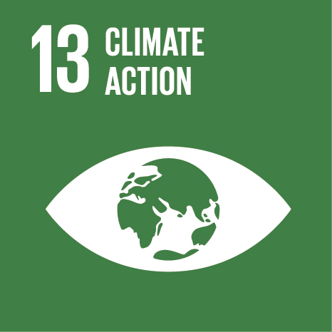 Sustainable Development Goal 13