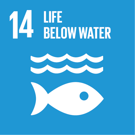 Sustainable Development Goal 14