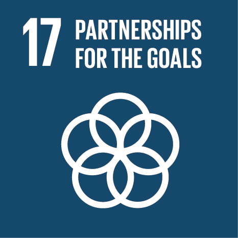Sustainable Development Goal 17