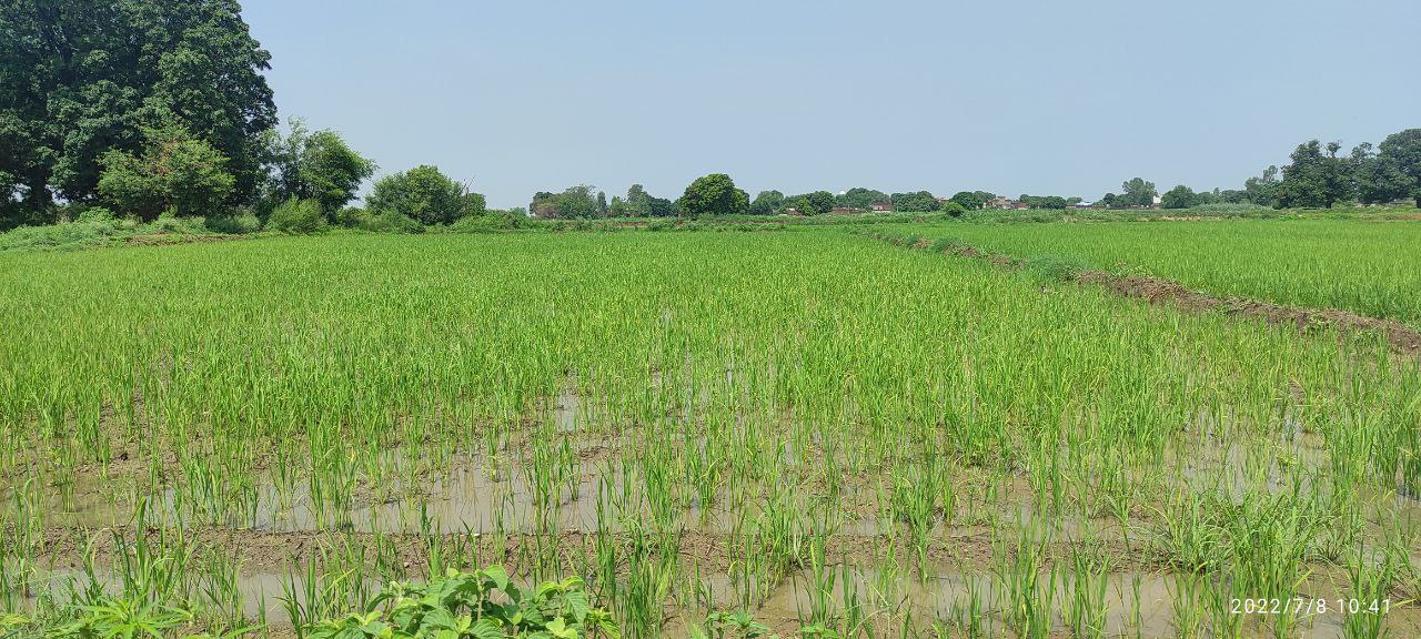 Crop Residue Management